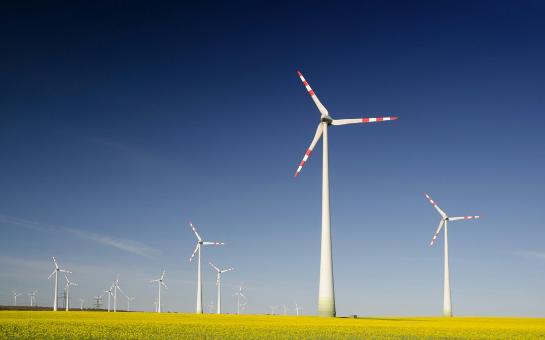Sustainability in focus: our EcoVadis rating